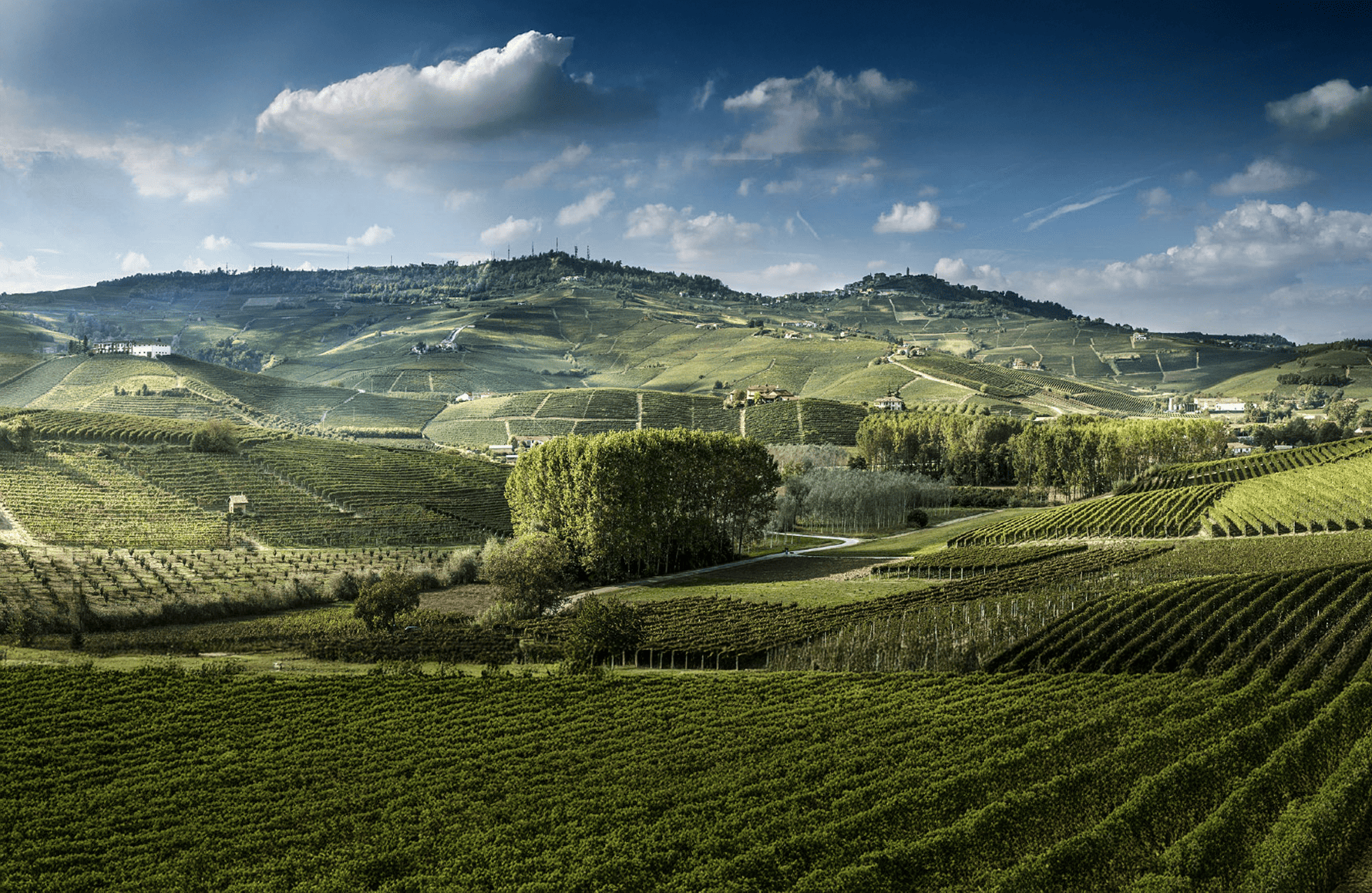 de geschiedenis van Luciano Sandrone - Italië