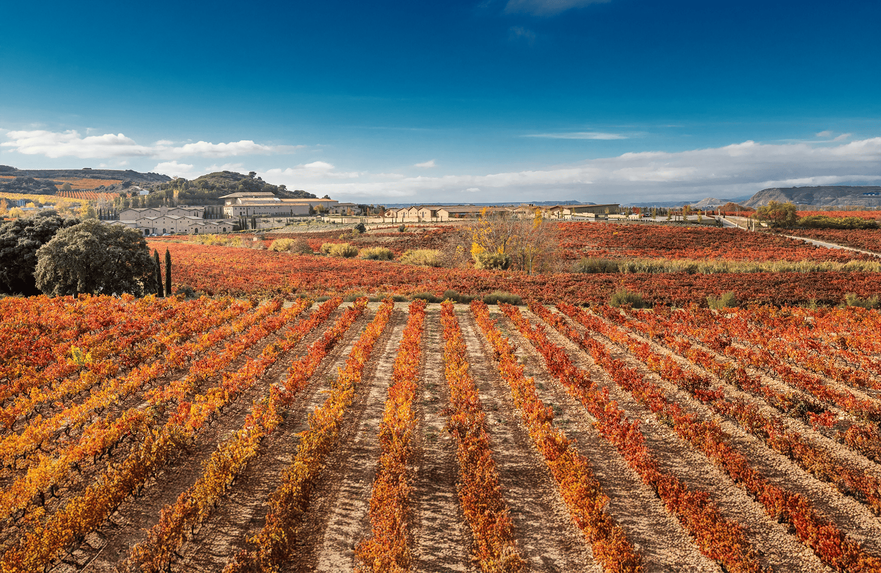 Vins Marques de Murrieta - Espagne