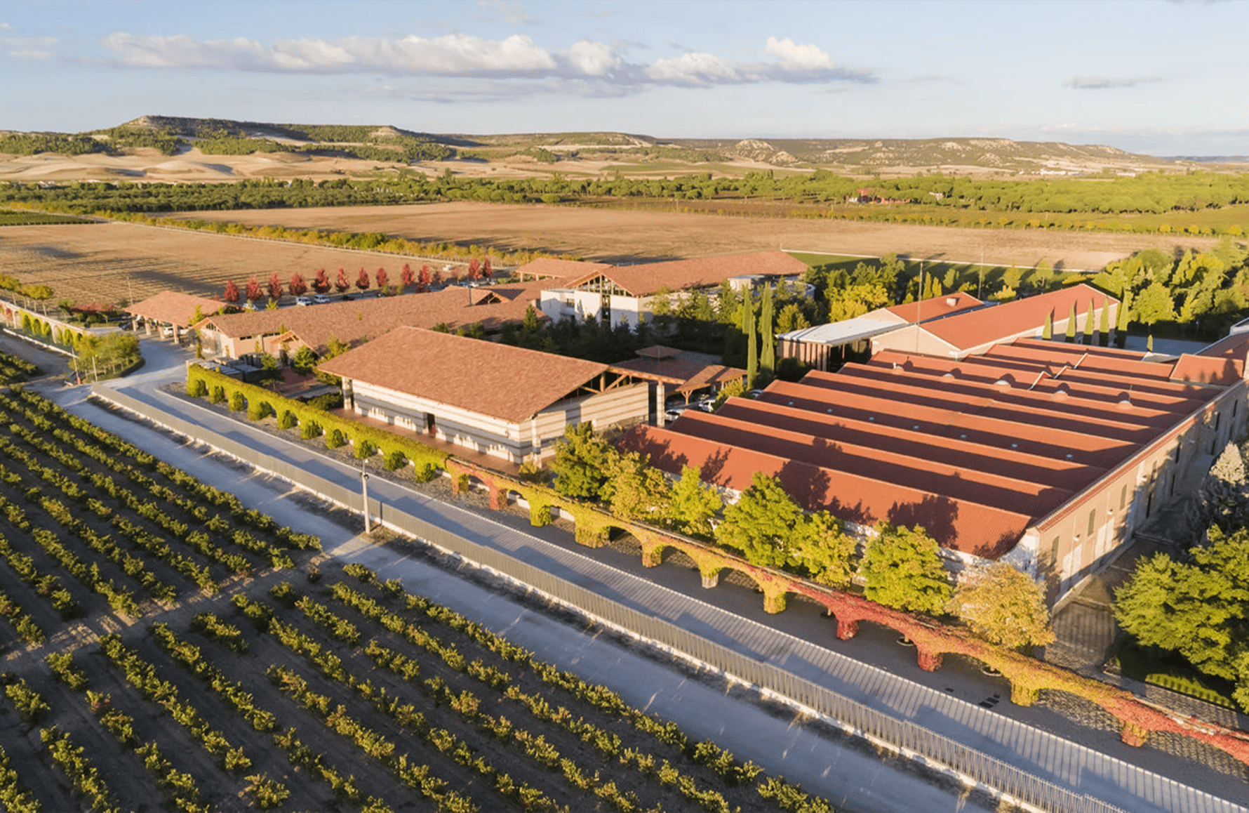 the story of Vega Sicilia - Spain