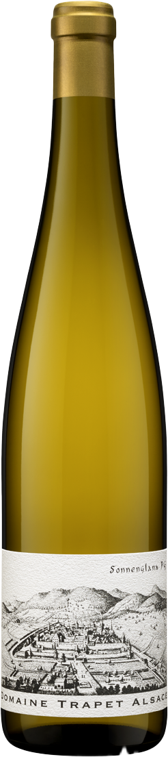 Domaine Trapet - Sonnenglanz Pinot Gris 2014